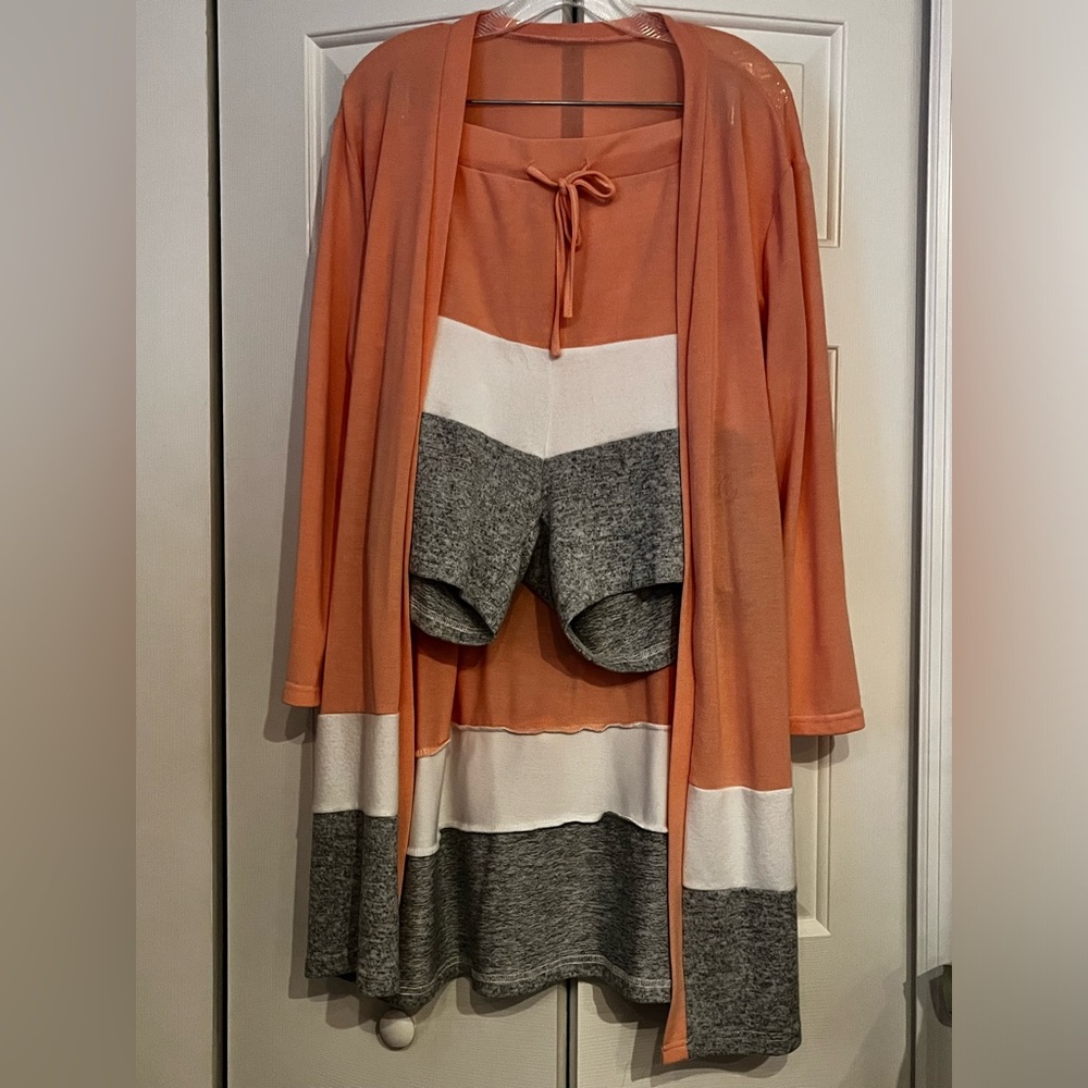 Rust Orange Colorblock Women's Shorts